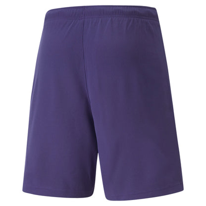 Puma Team Rise Shorts