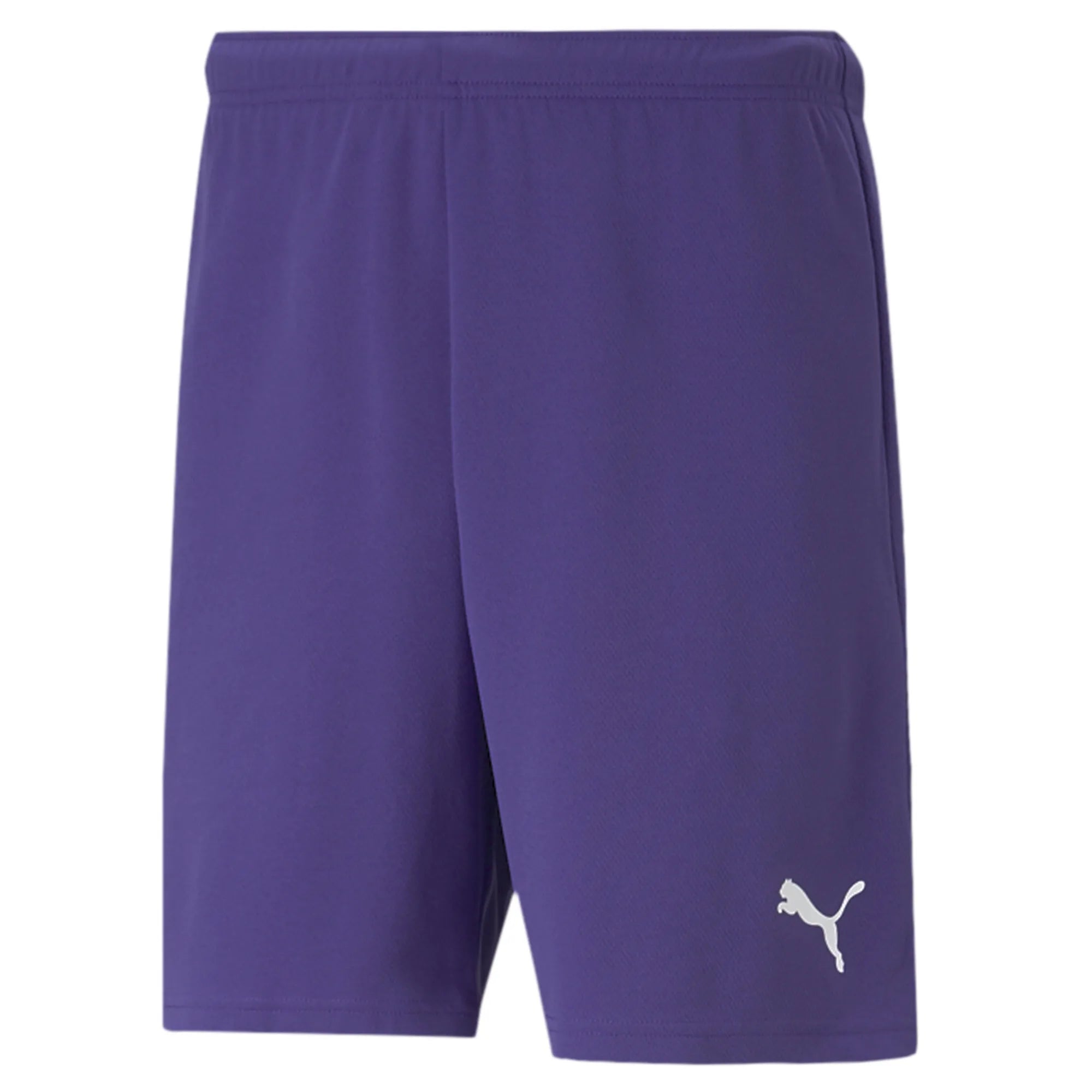 Puma Team Rise Shorts