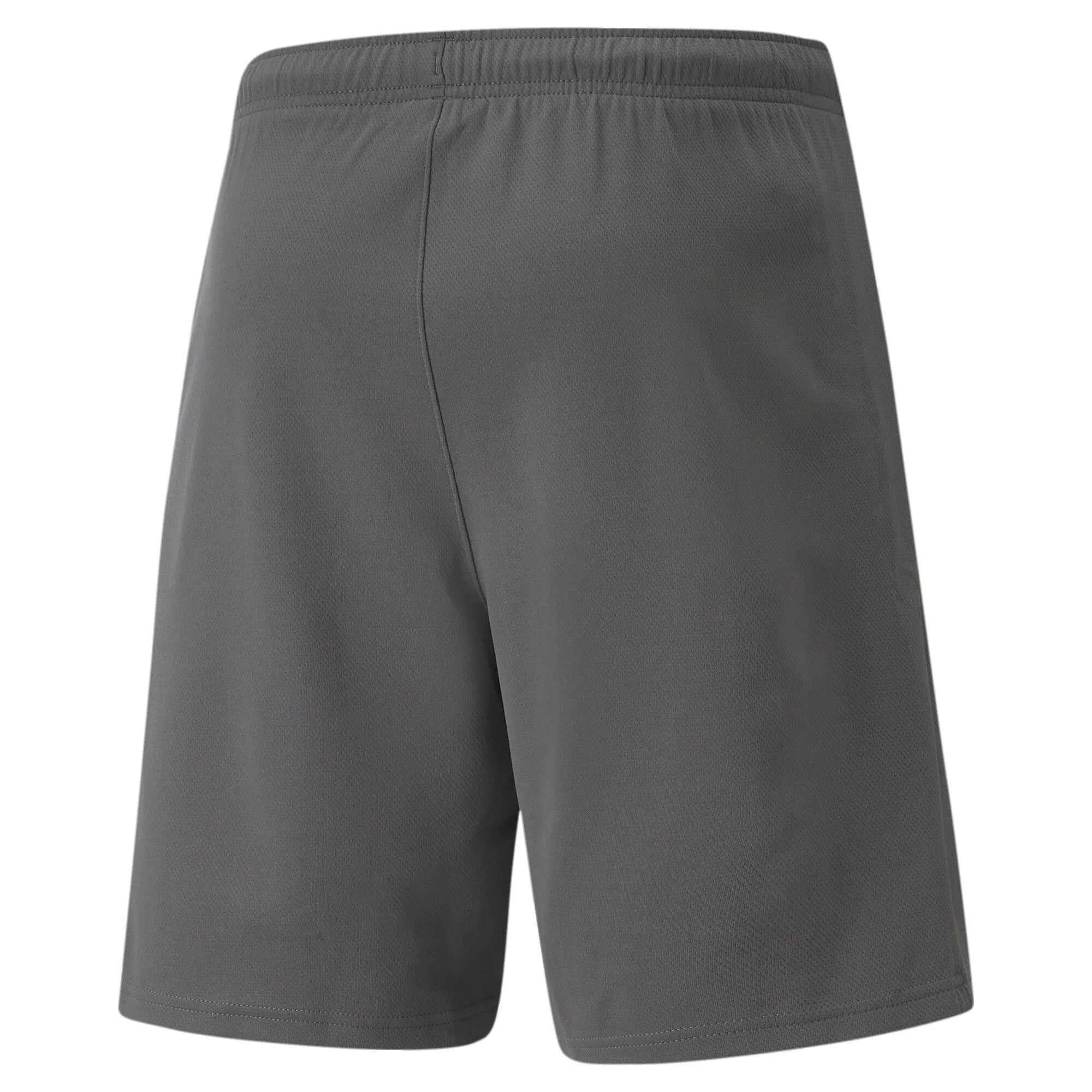 Puma Team Rise Shorts