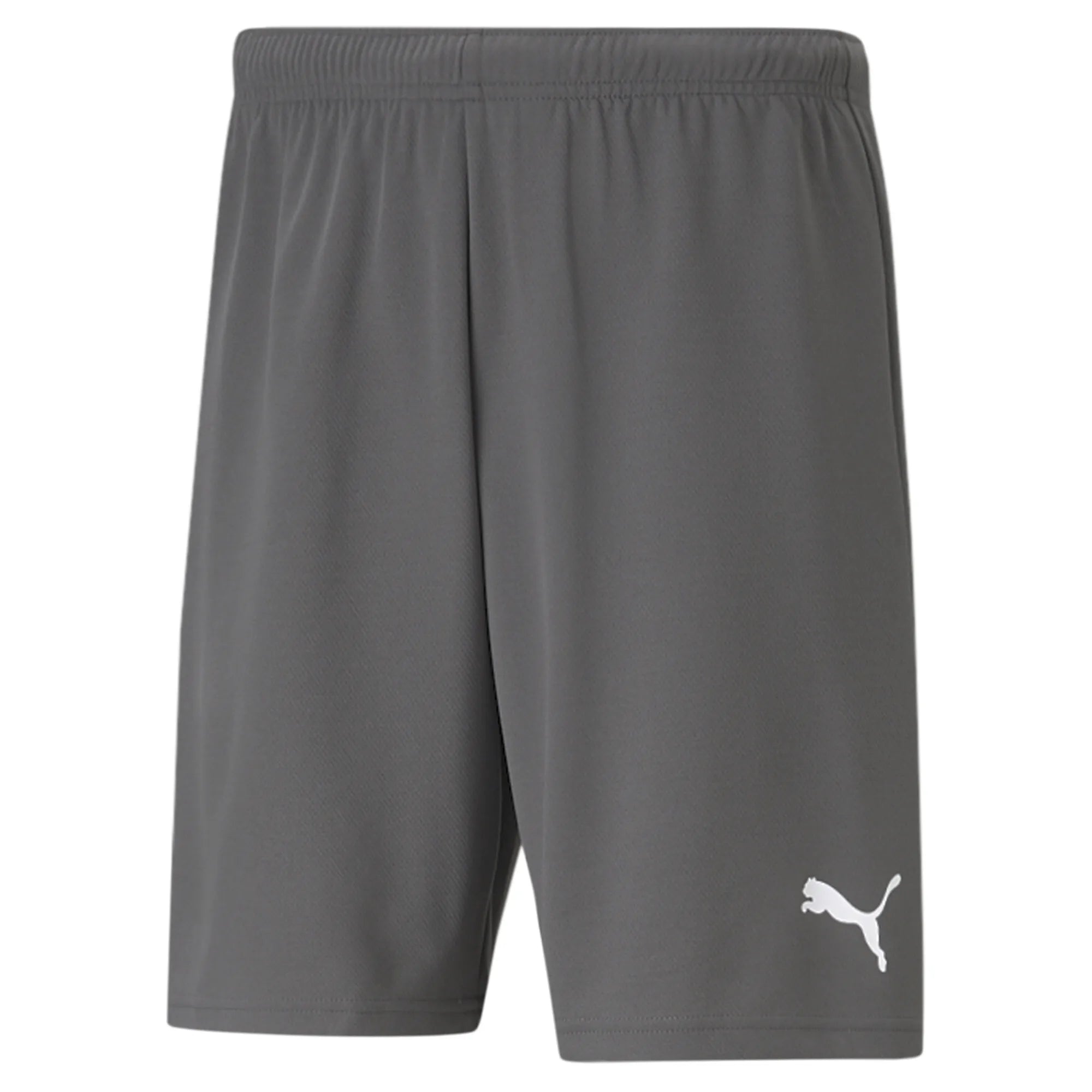 Puma Team Rise Shorts