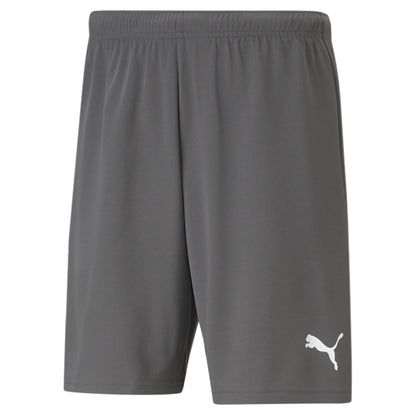 Puma Team Rise Shorts