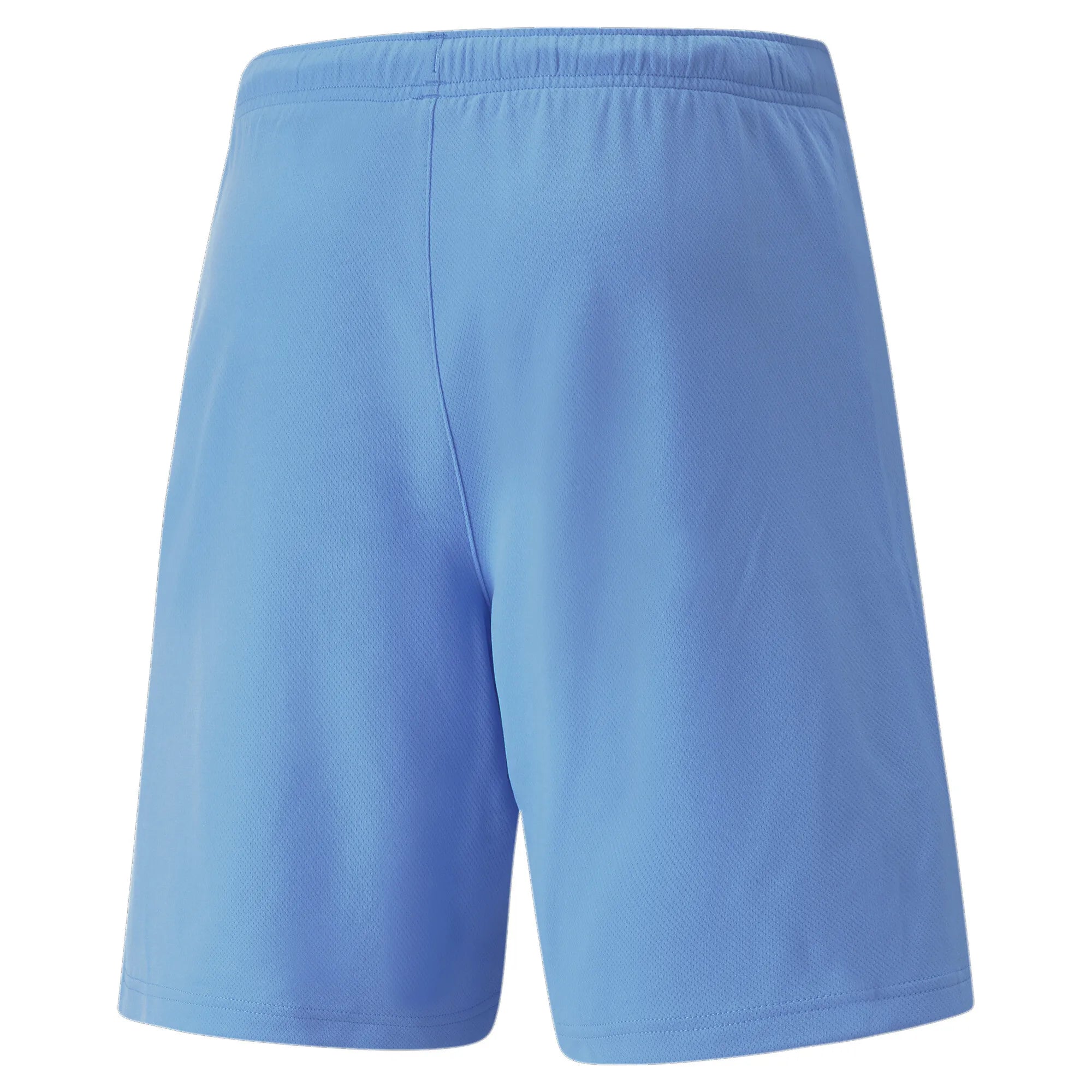 Puma Team Rise Shorts
