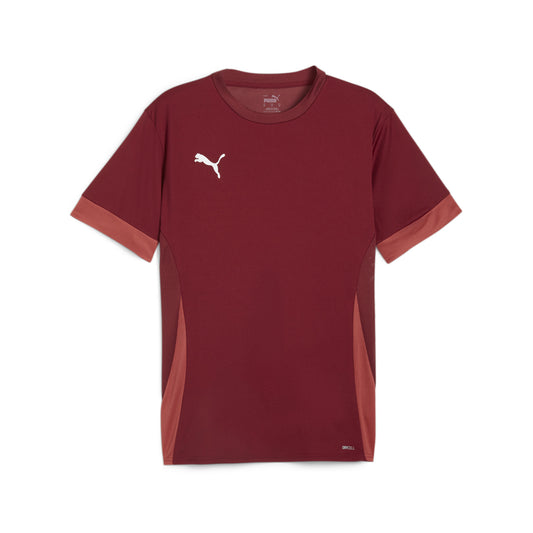 Puma Team Goal Matchday Jersey