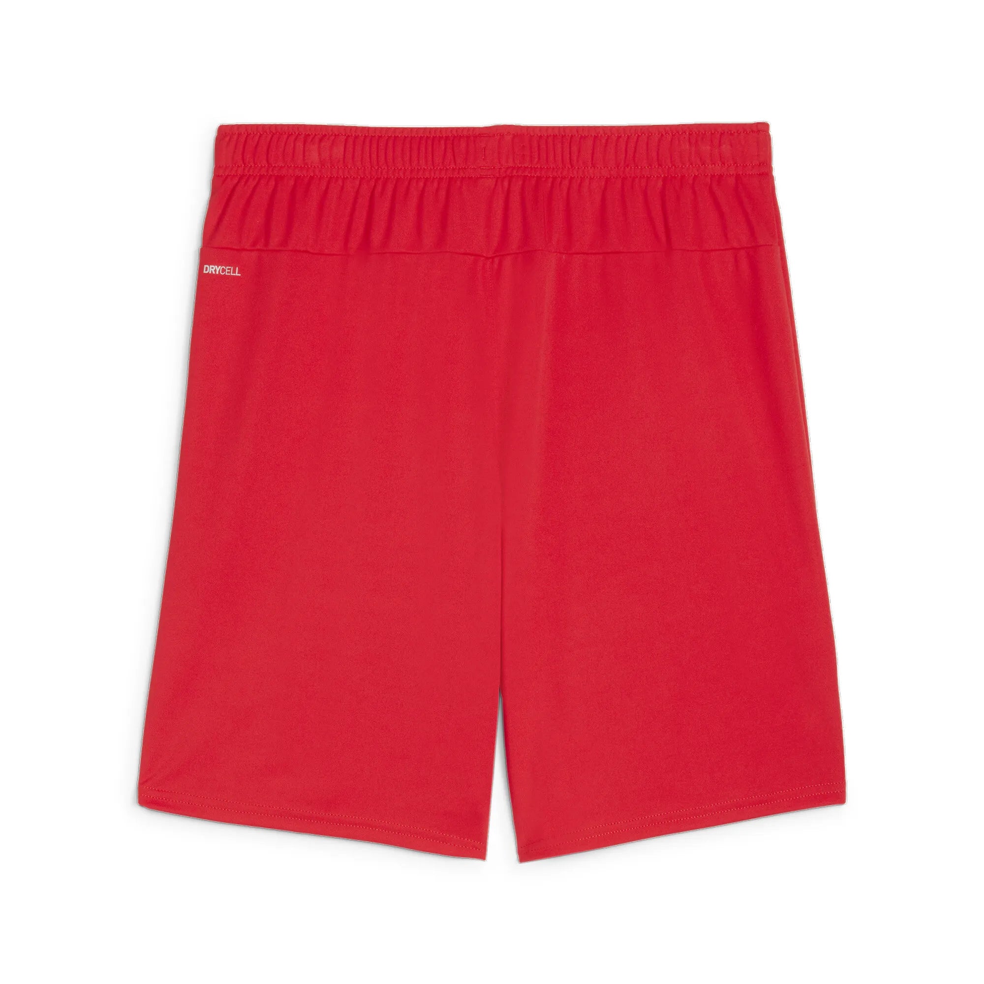 Puma Team Goal Shorts