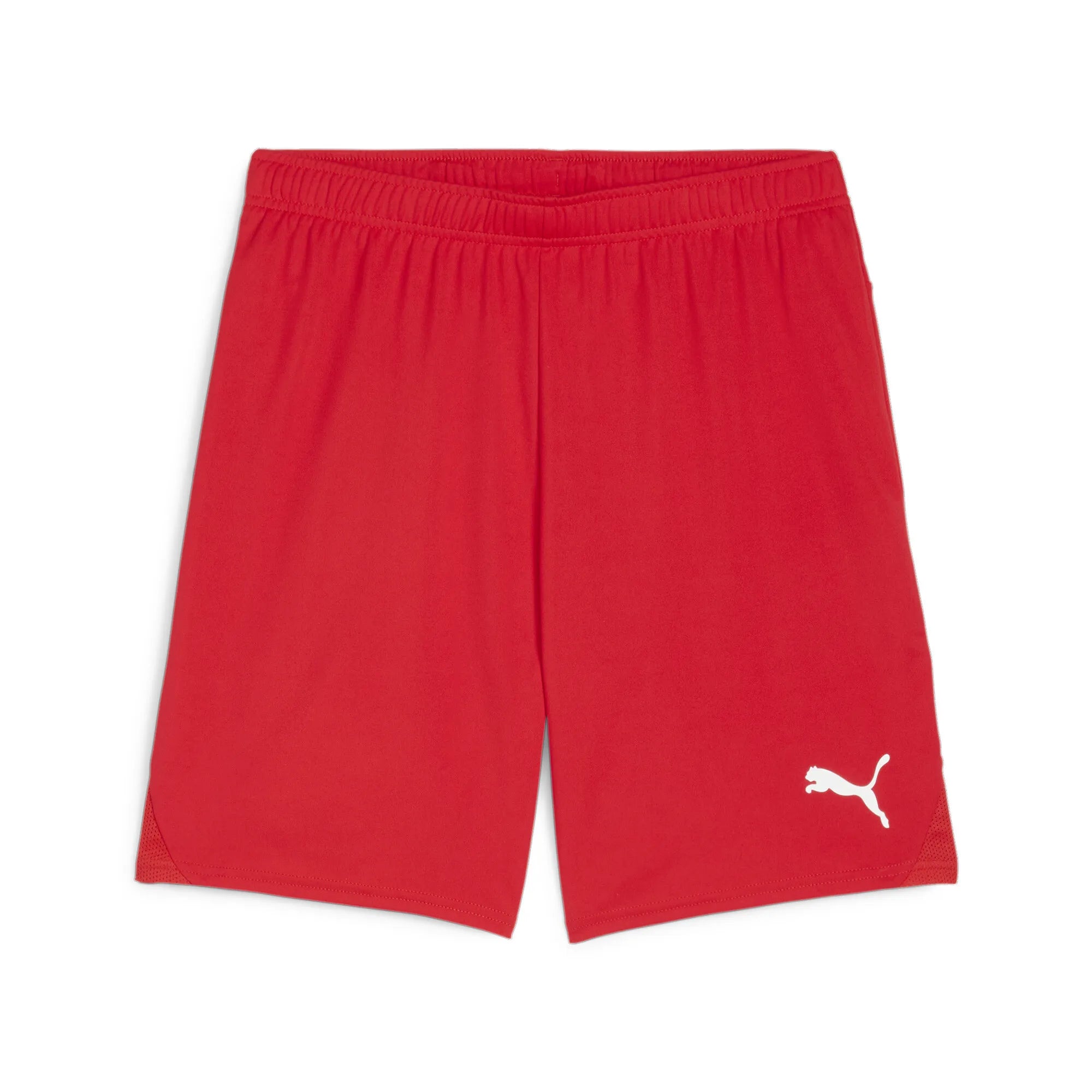 Puma Team Goal Shorts