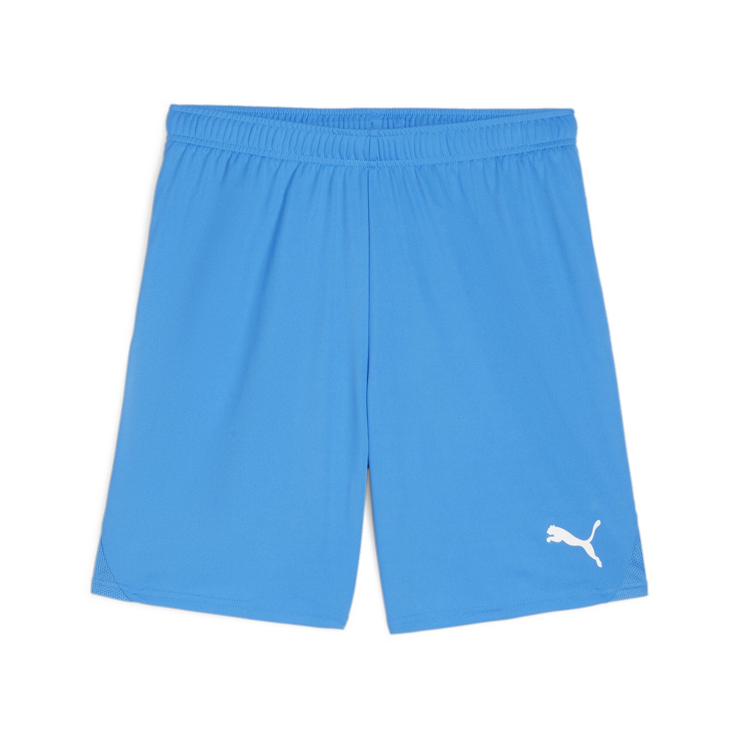 Puma Team Goal Shorts