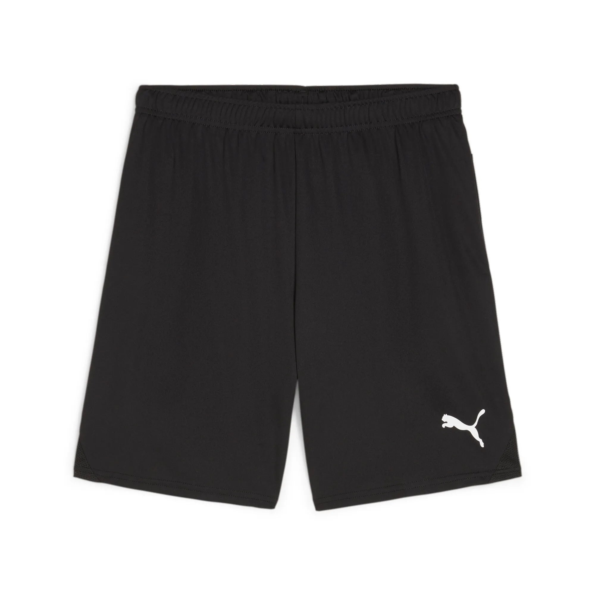 Puma Team Goal Shorts