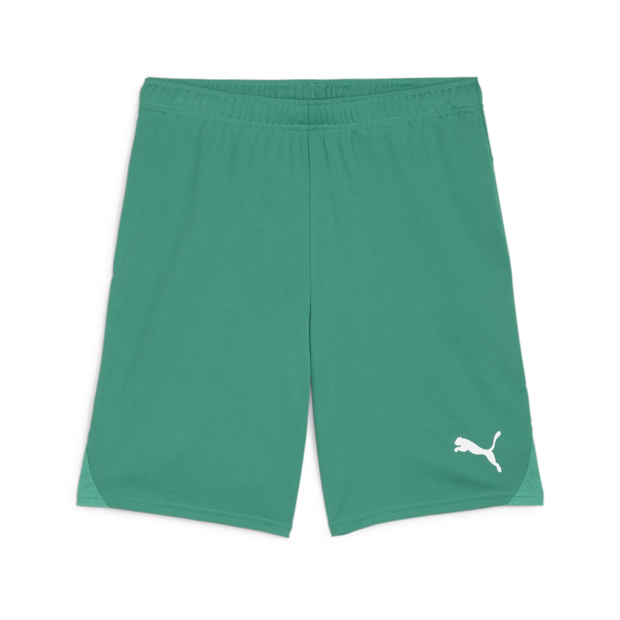 Puma Team Goal Shorts