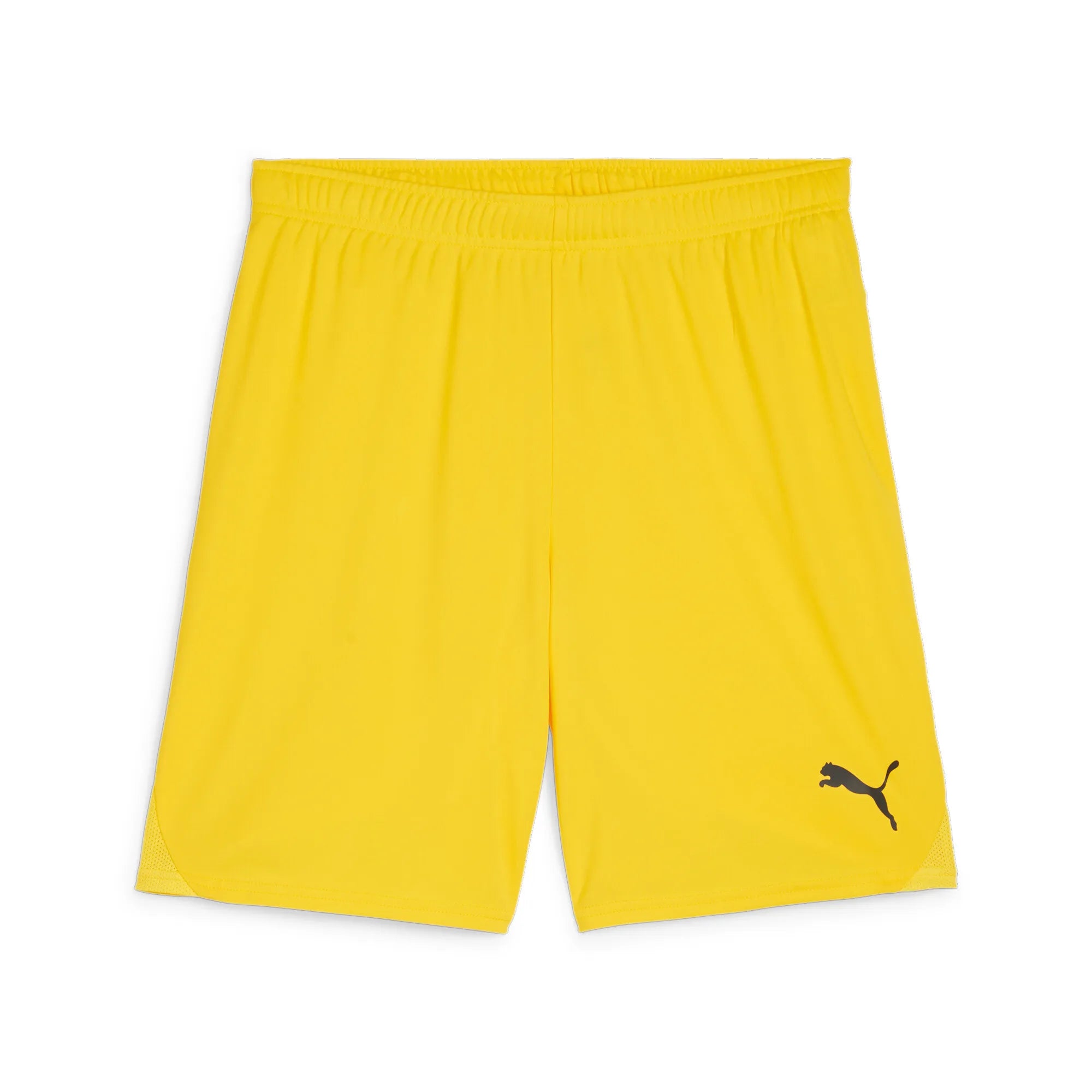 Puma Team Goal Shorts