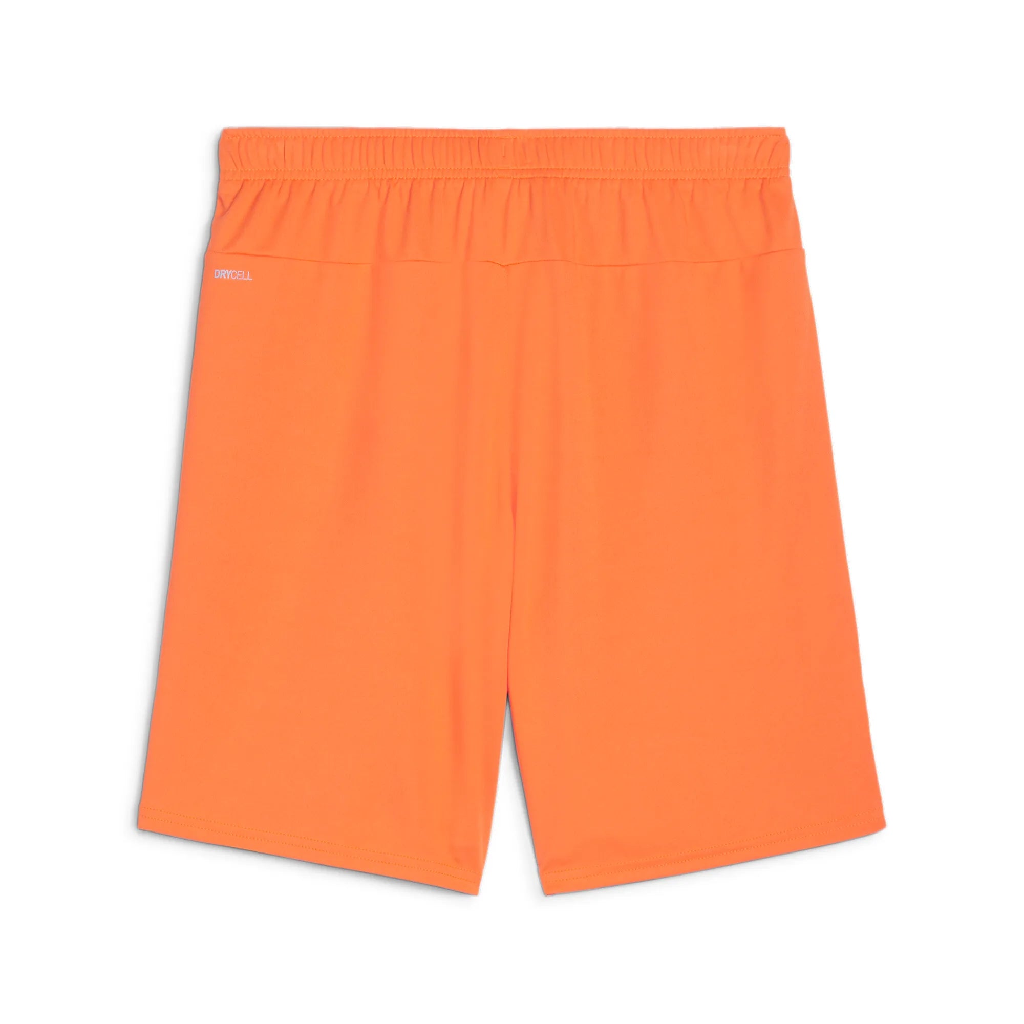 Puma Team Goal Shorts