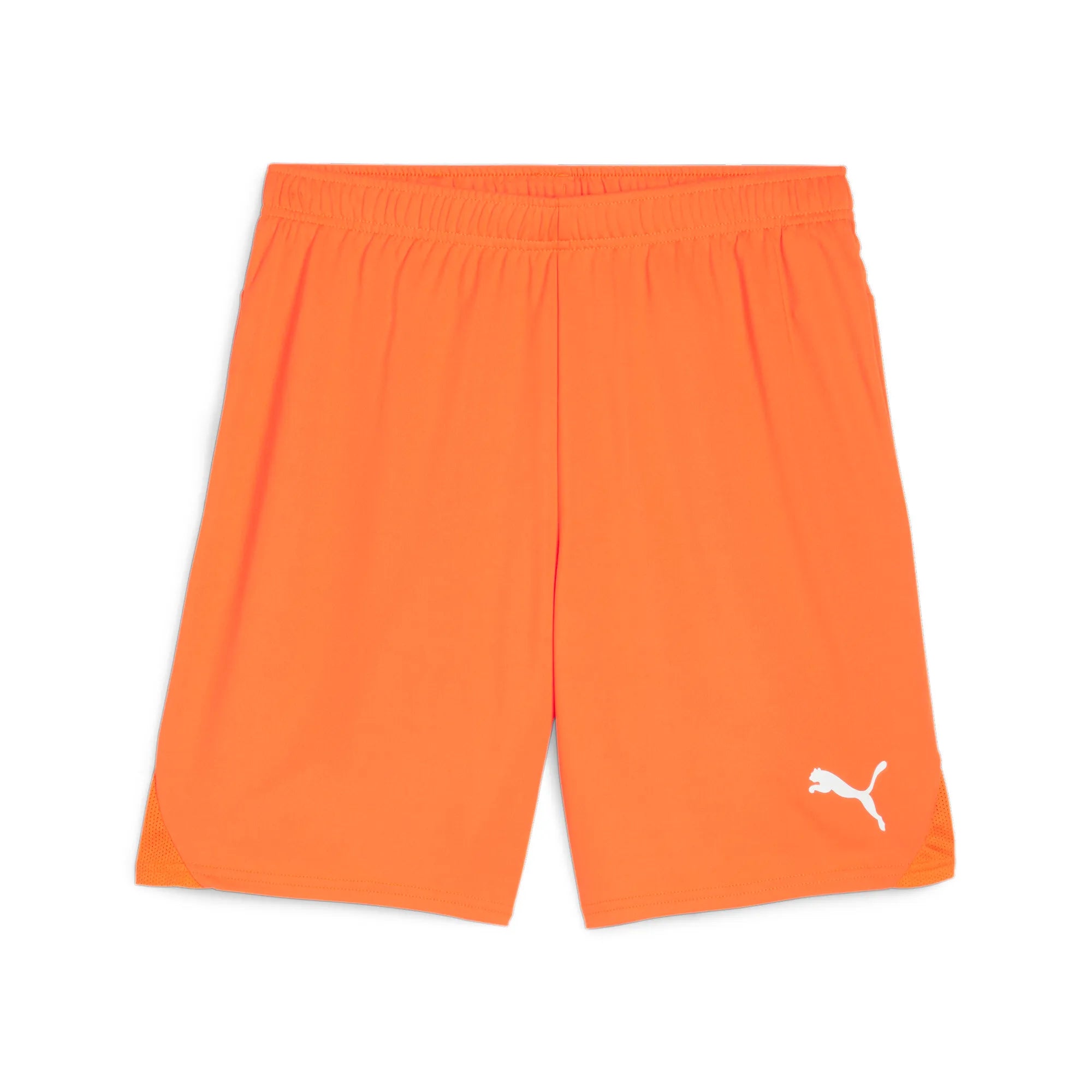 Puma Team Goal Shorts