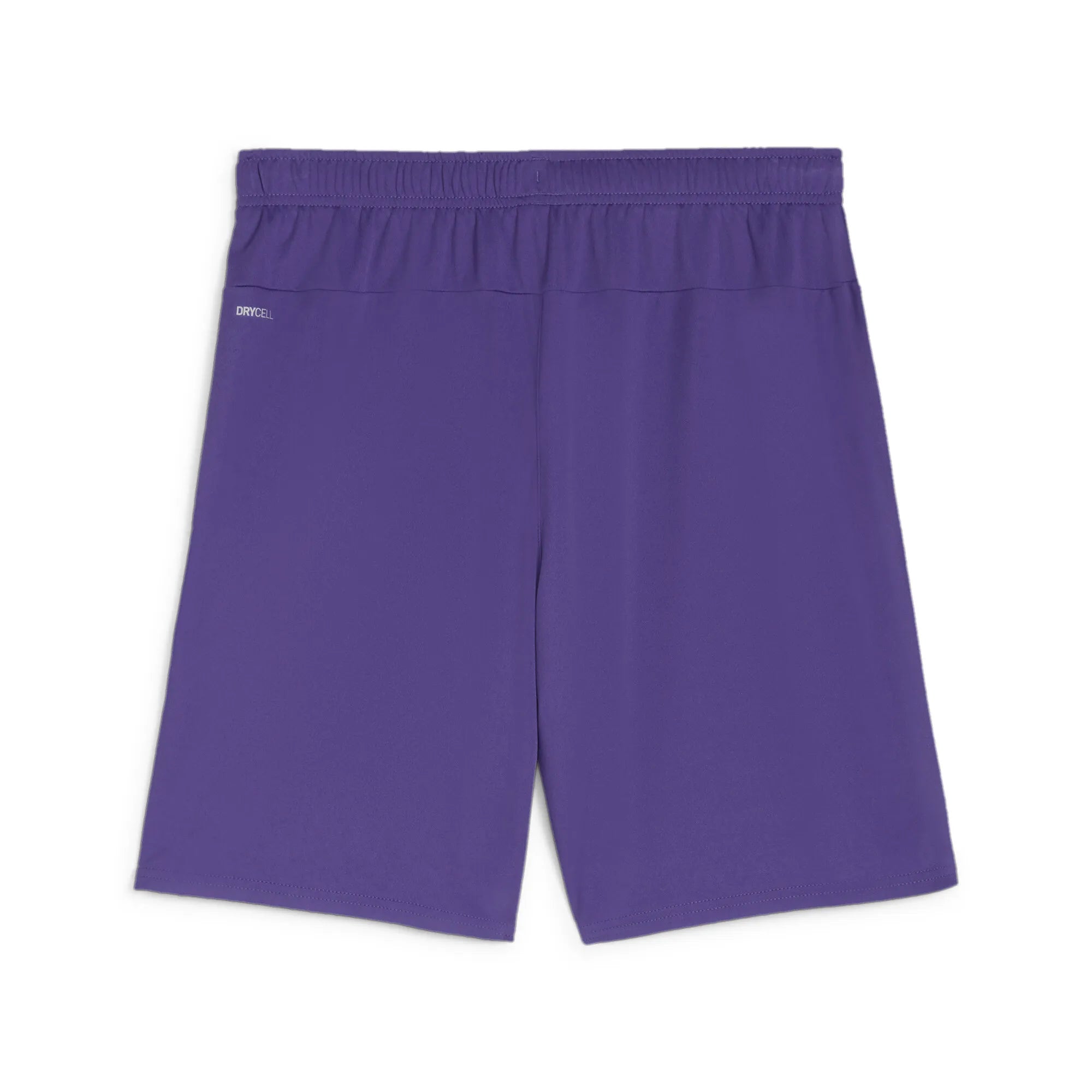 Puma Team Goal Shorts