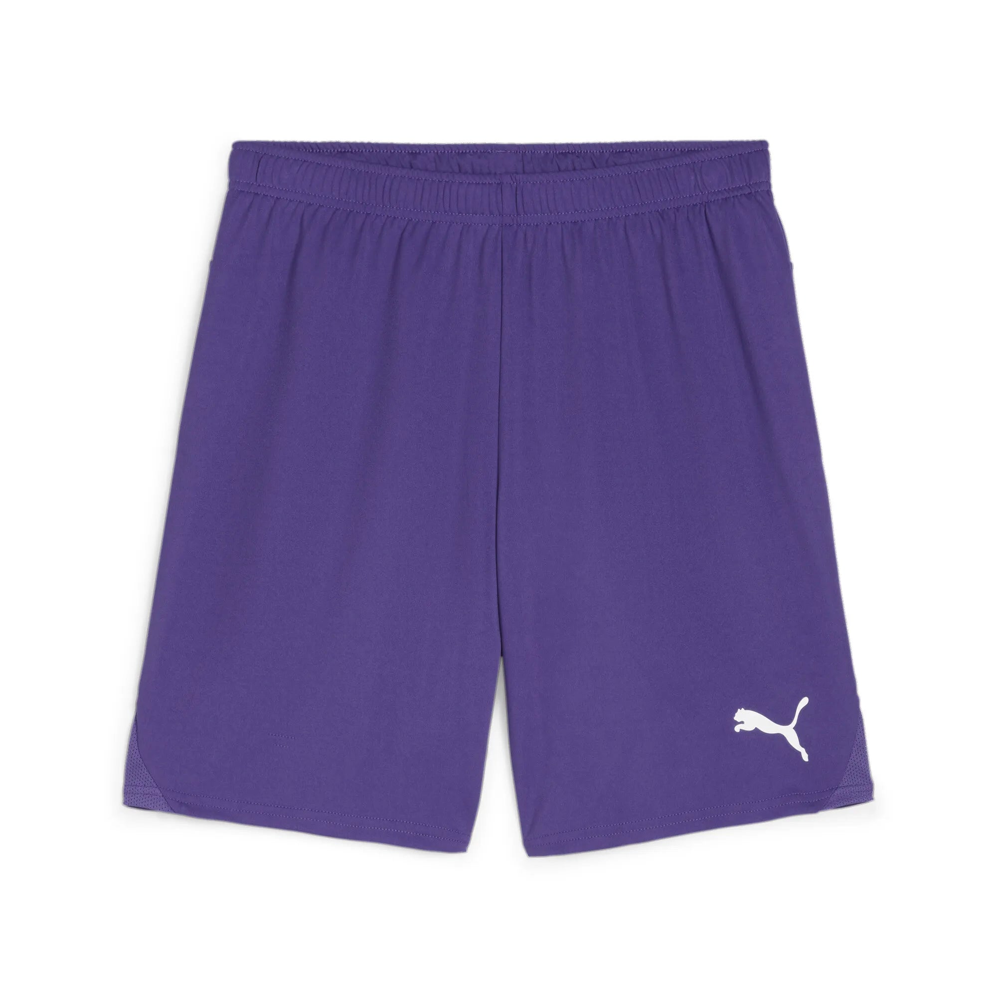 Puma Team Goal Shorts