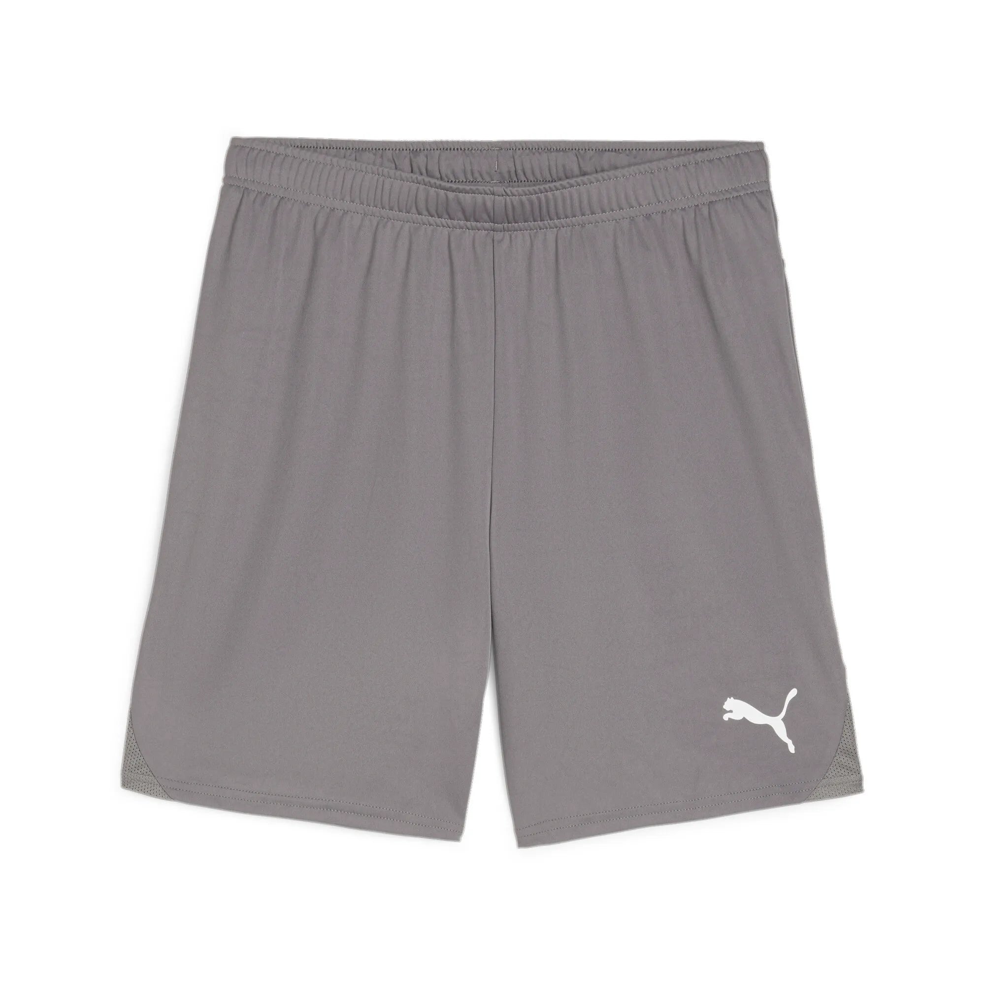 Puma Team Goal Shorts