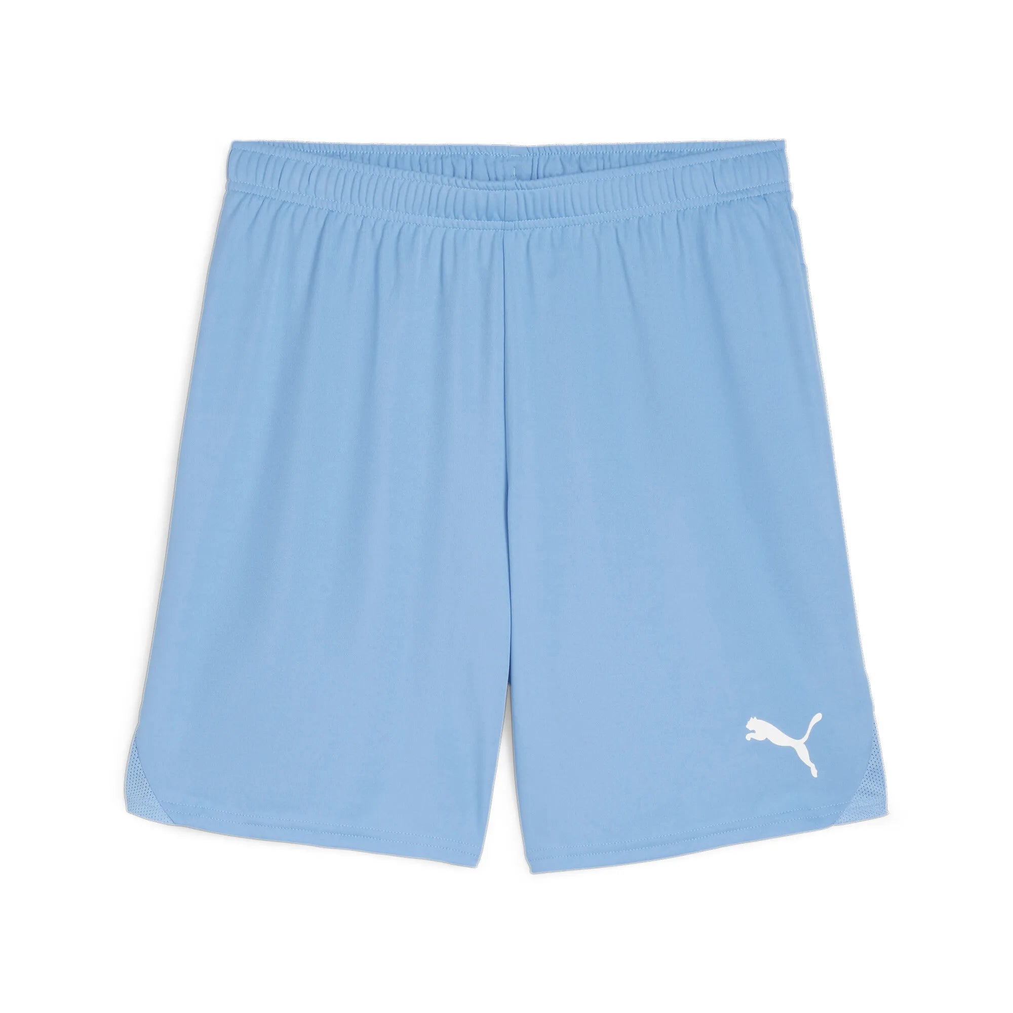 Puma Team Goal Shorts