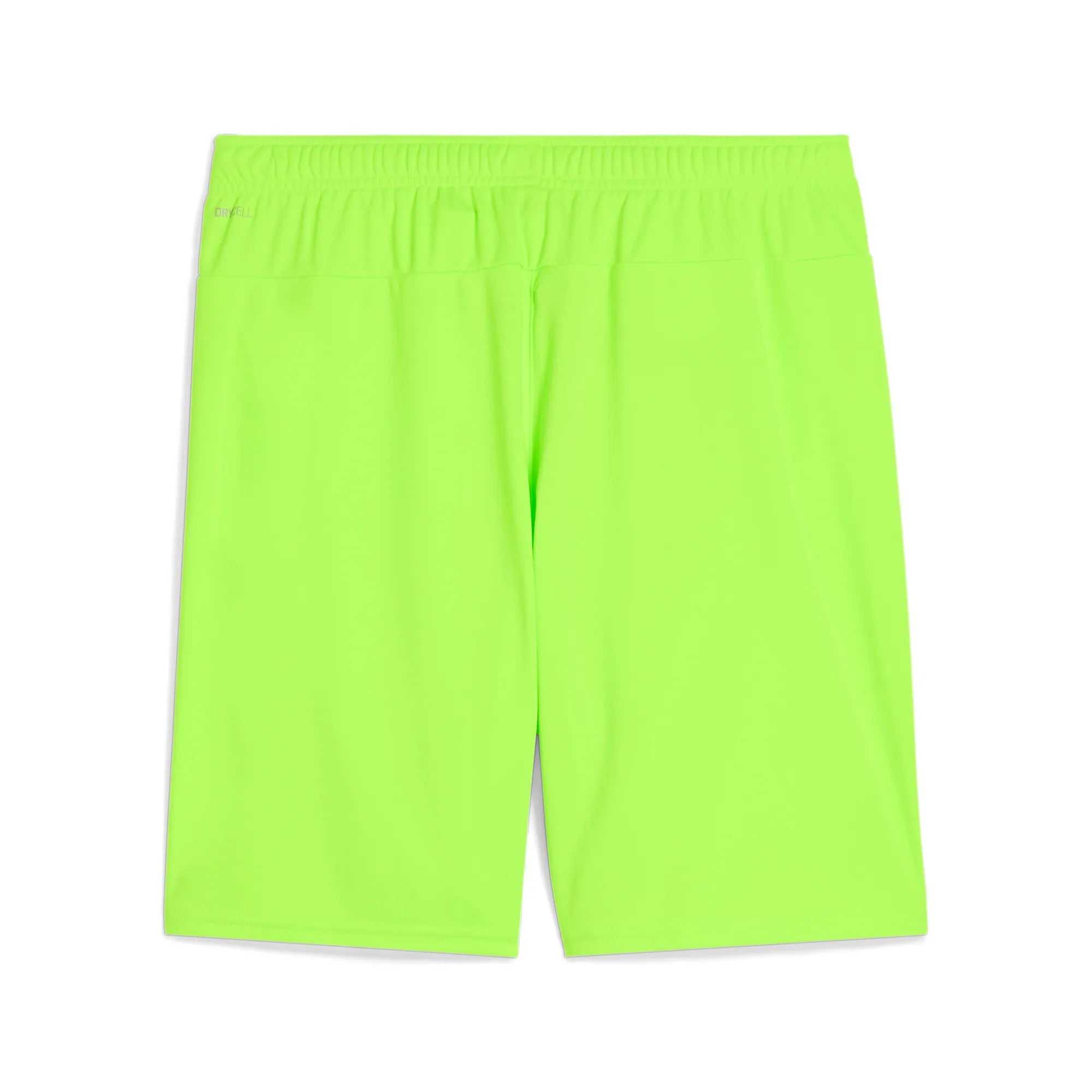 Puma Team Goal Shorts