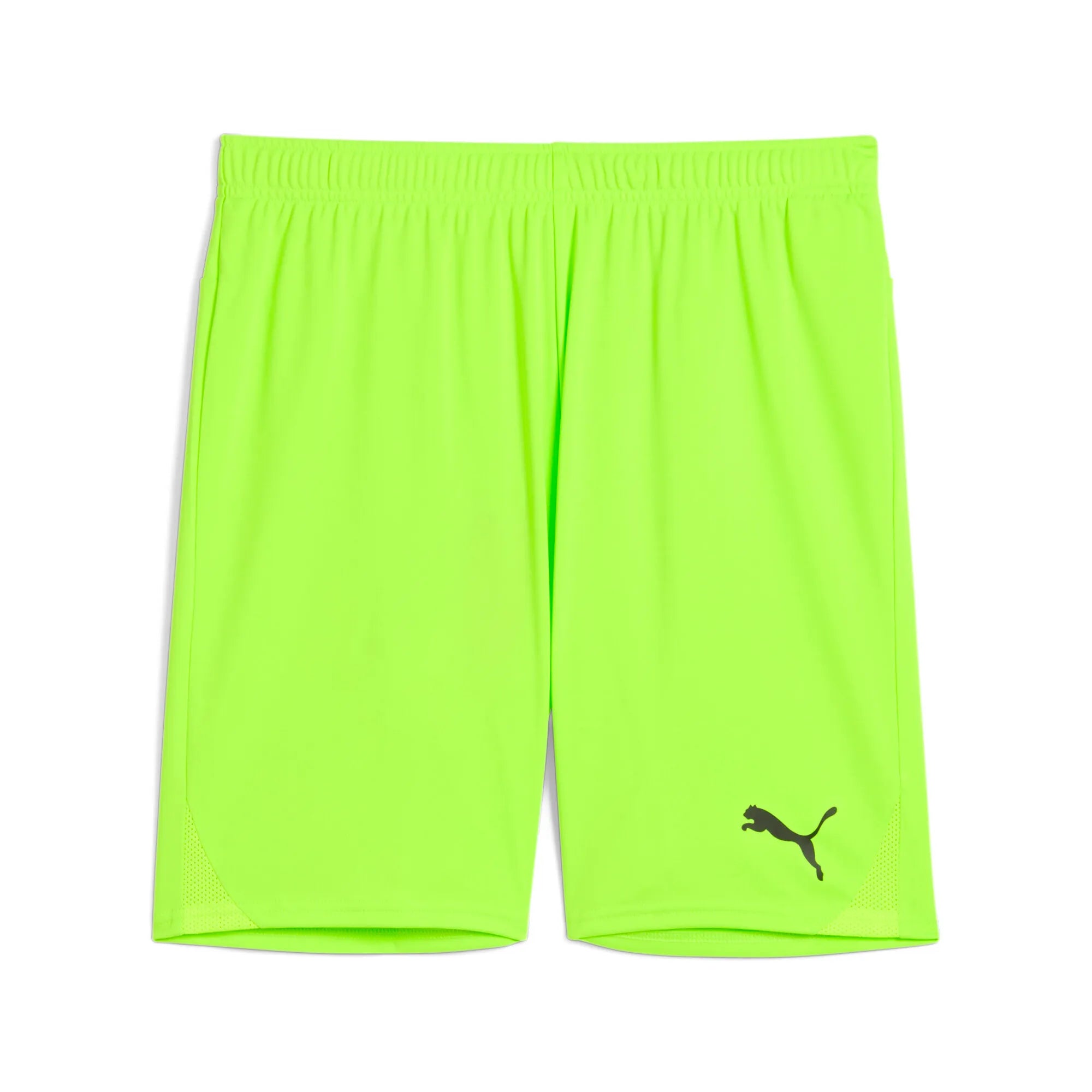 Puma Team Goal Shorts