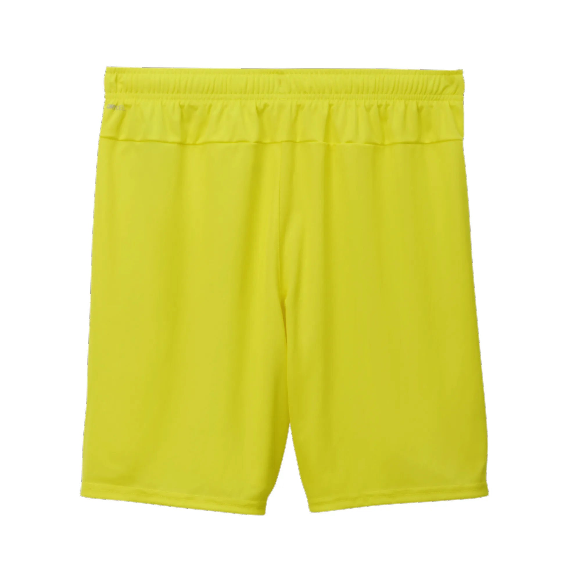 Puma Team Goal Shorts