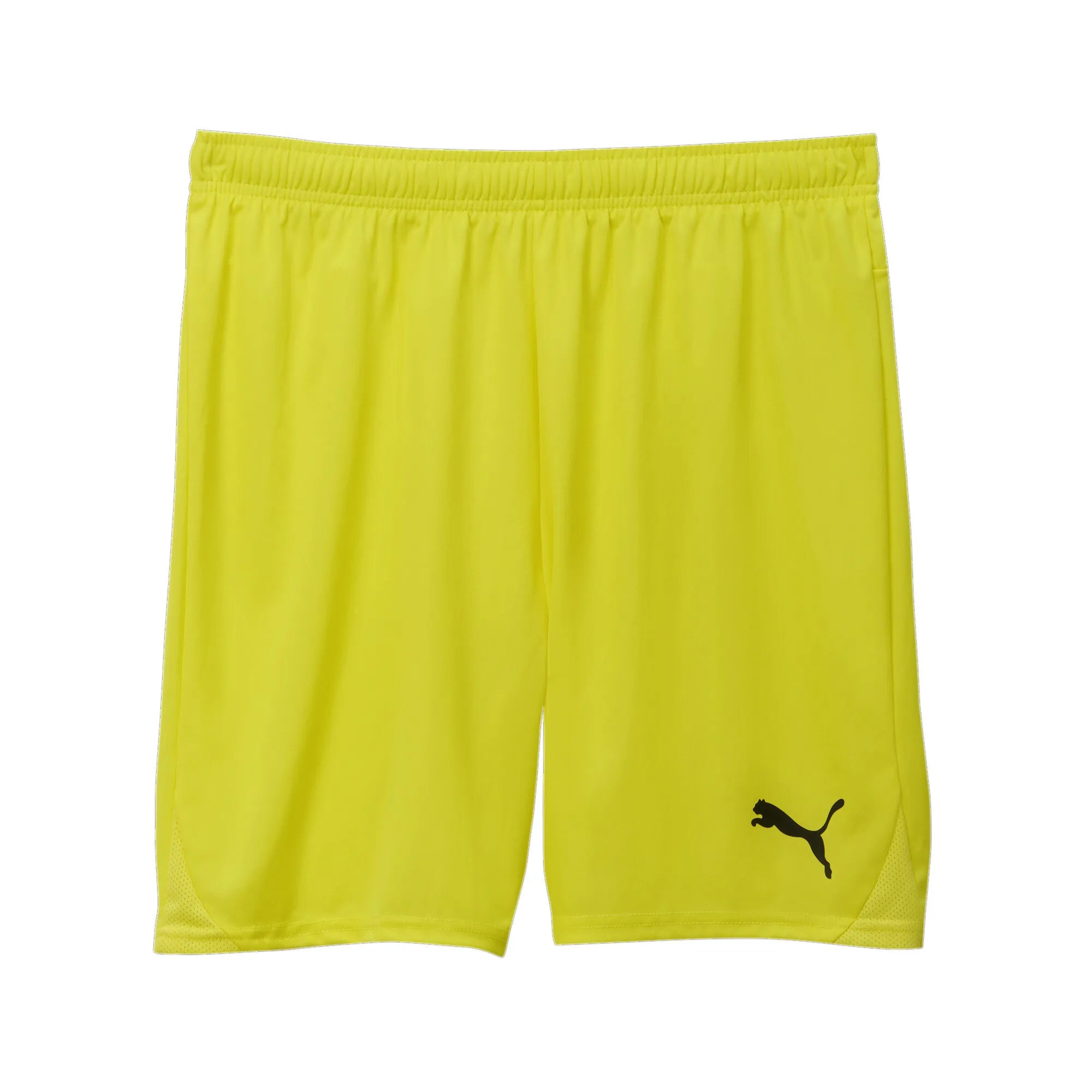 Puma Team Goal Shorts