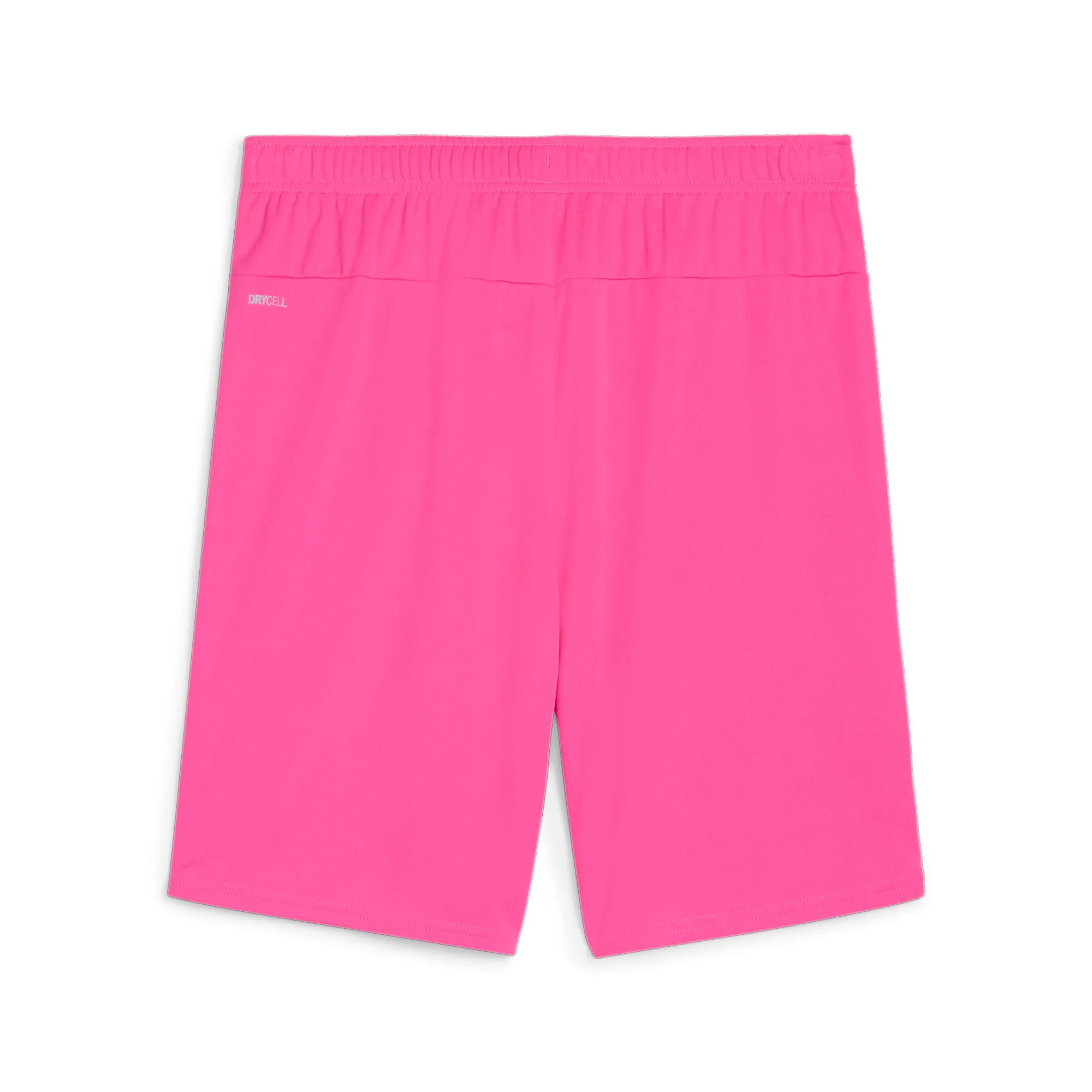 Puma Team Goal Shorts