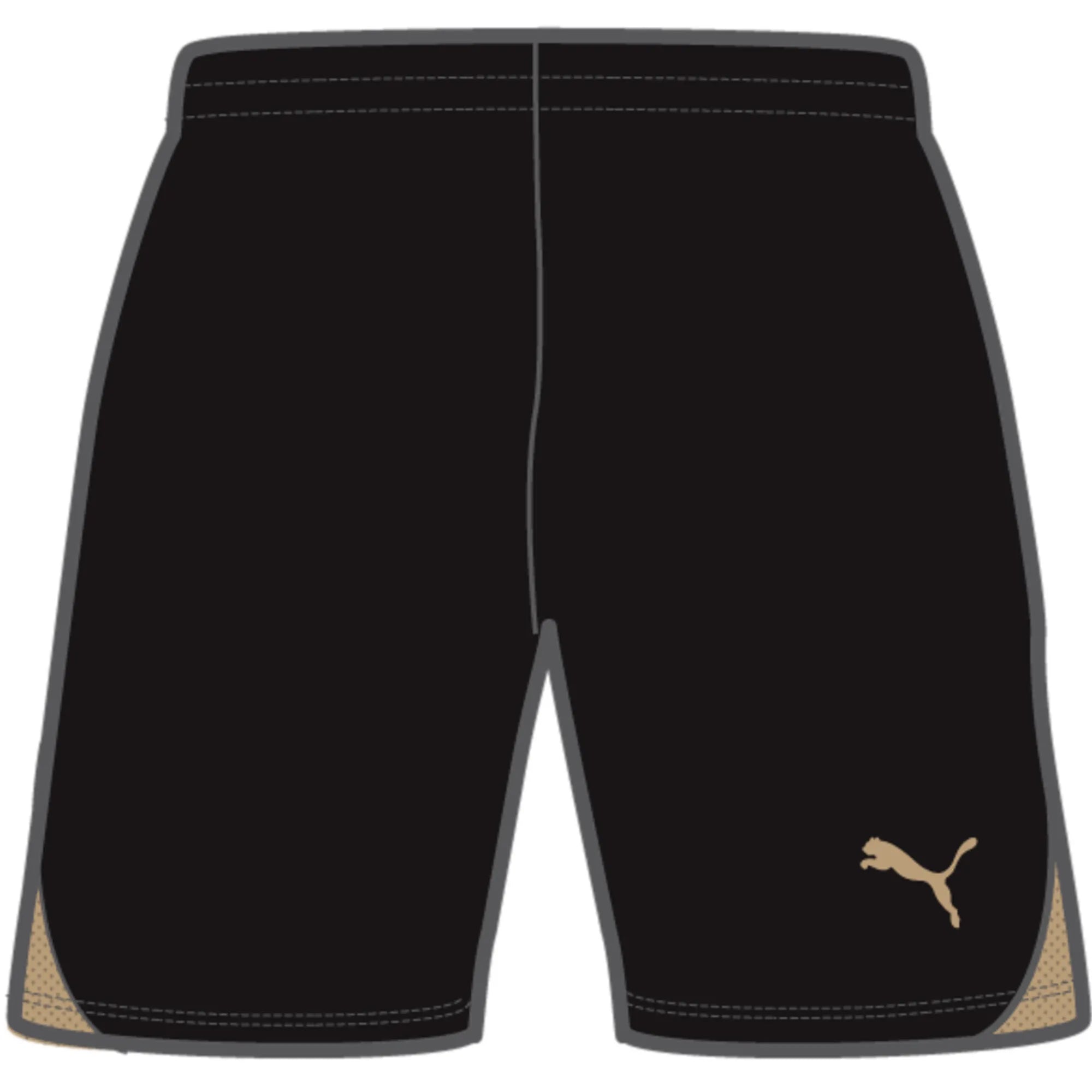 Puma Team Goal Shorts