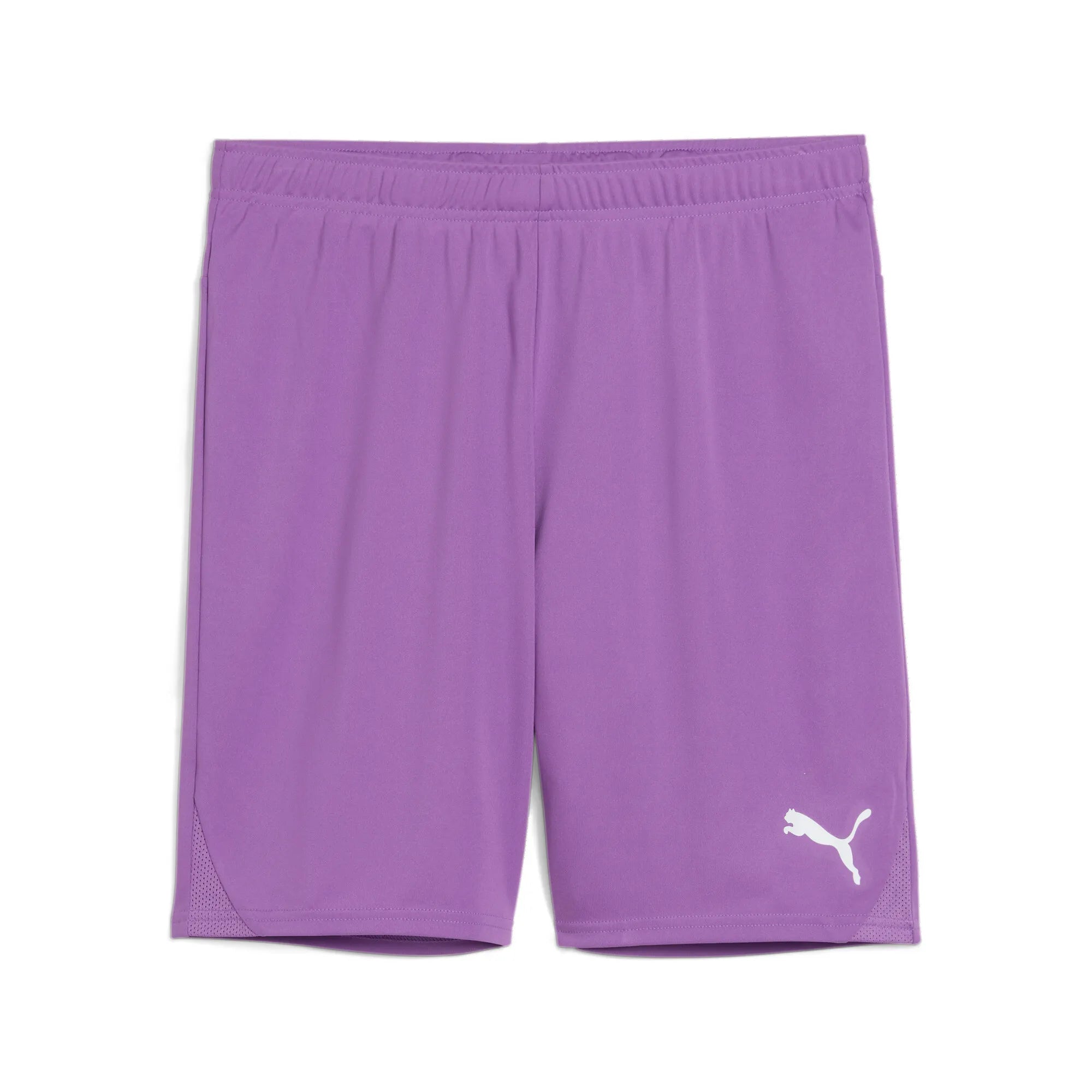 Puma Team Goal Shorts