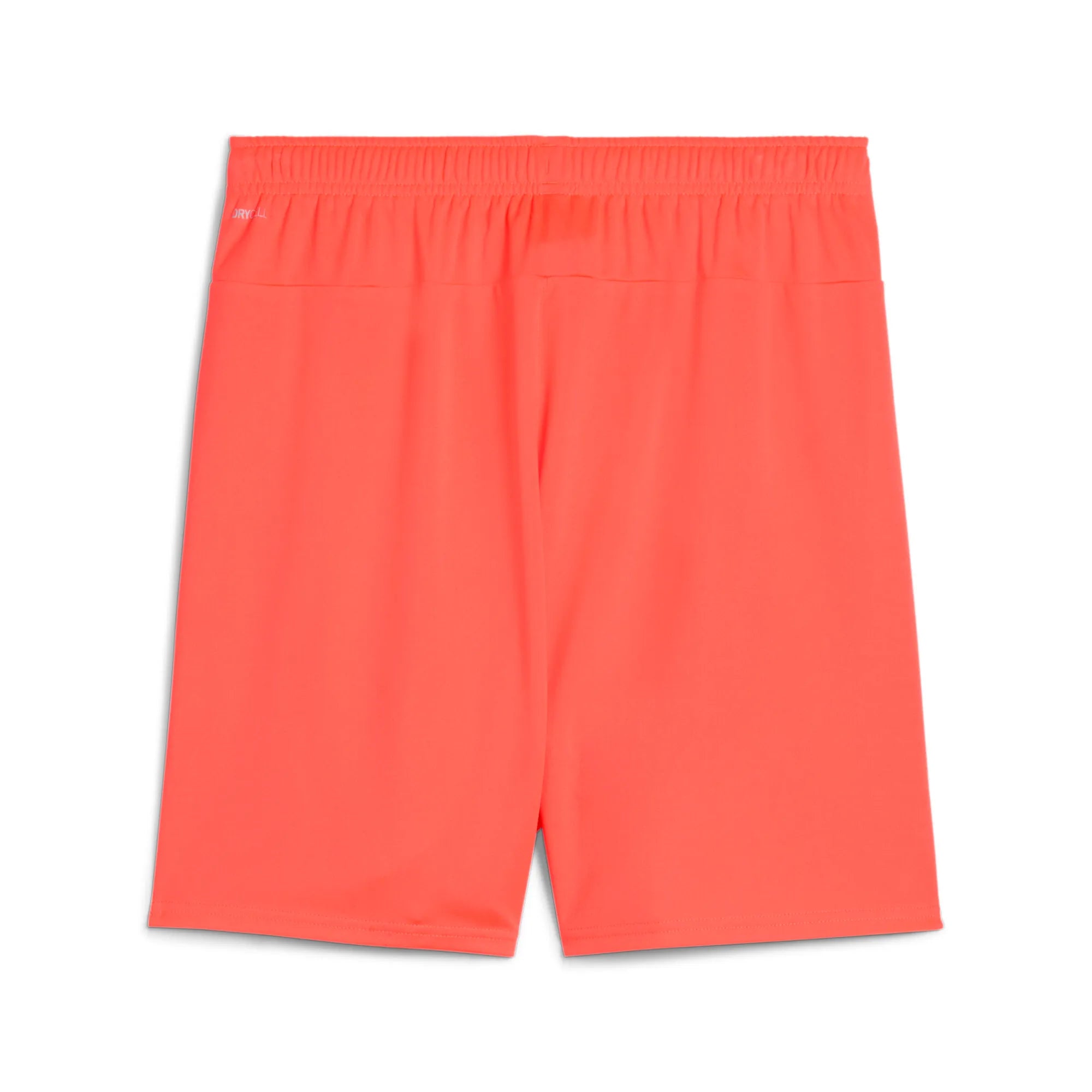 Puma Team Goal Shorts