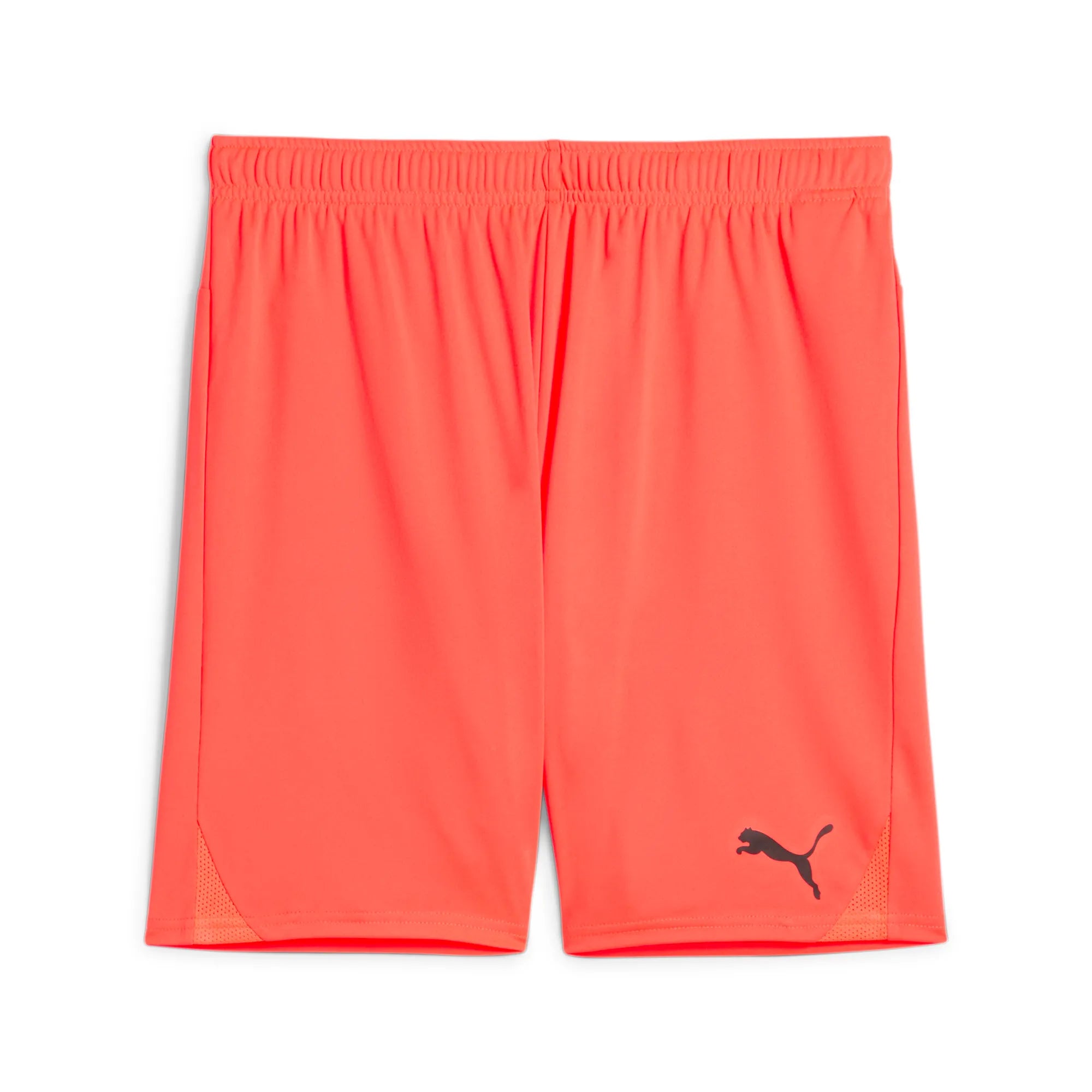 Puma Team Goal Shorts