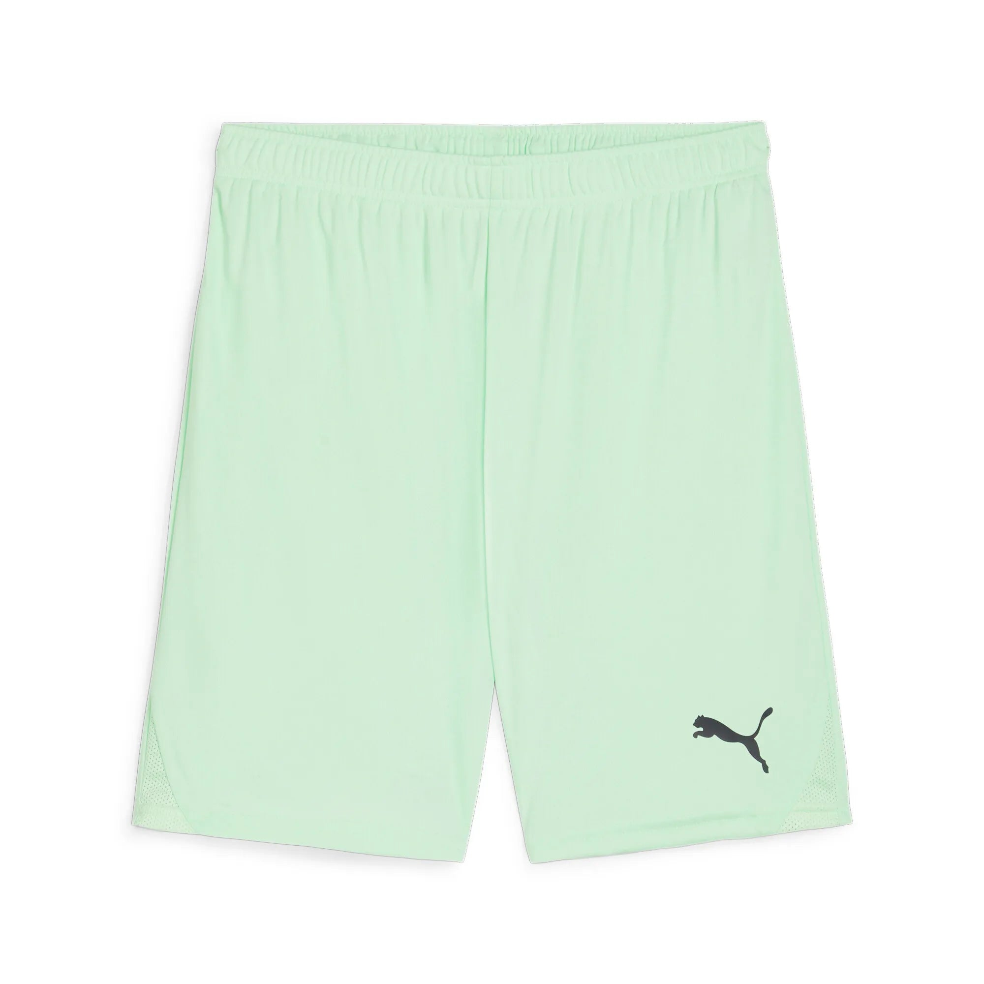 Puma Team Goal Shorts