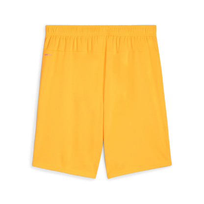 Puma Team Goal Shorts