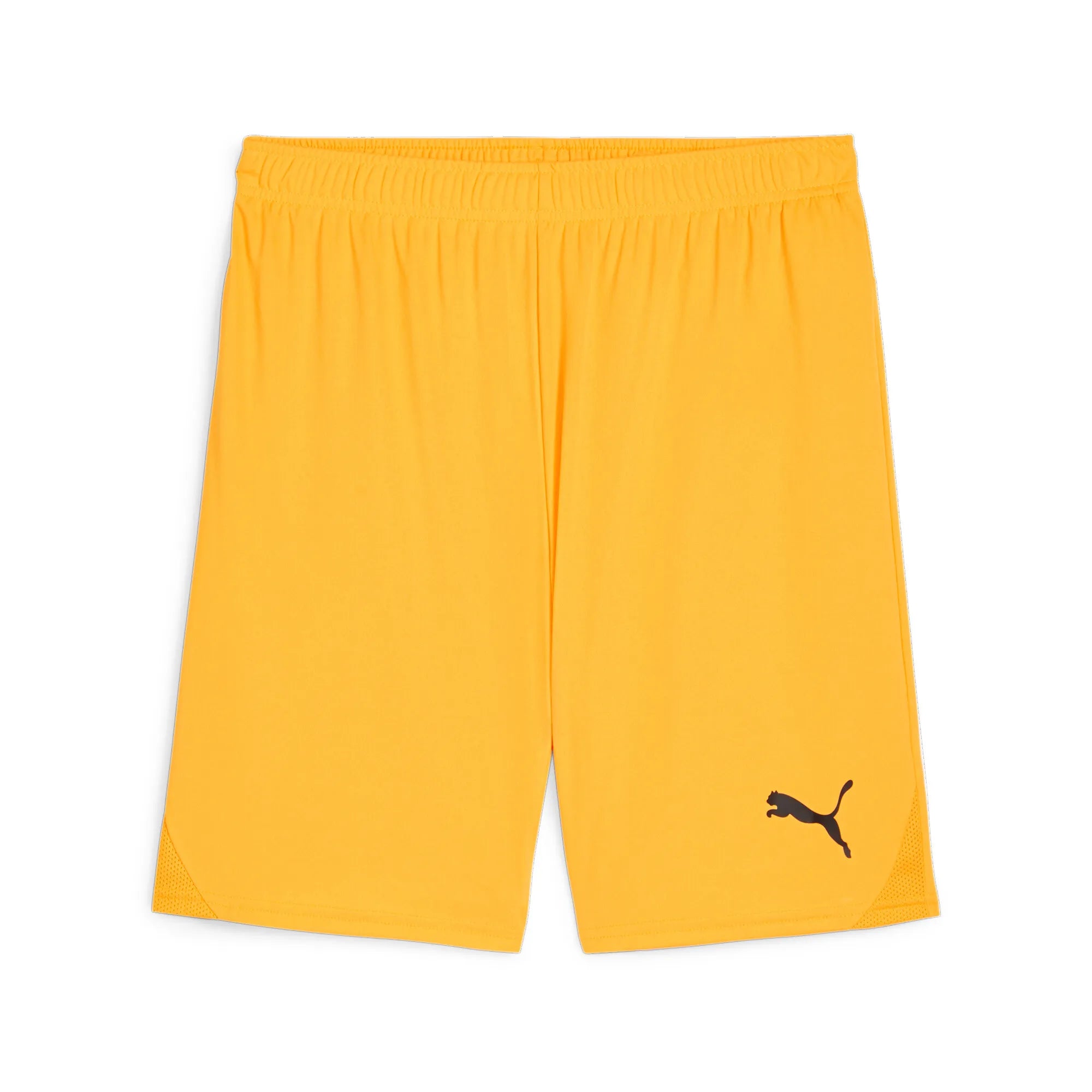 Puma Team Goal Shorts