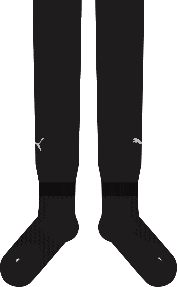 Puma Match Official Socks