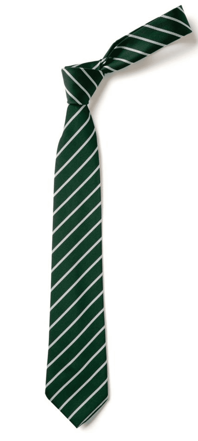 Mountain Lane School Tie